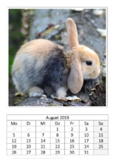 August_Kaninchen_1.pdf